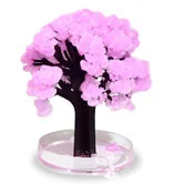 ciliegio giapponese che fiorisce