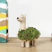 lama ecologico per un natale green