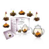 tè con bocciolo che sboccia nell'acqua